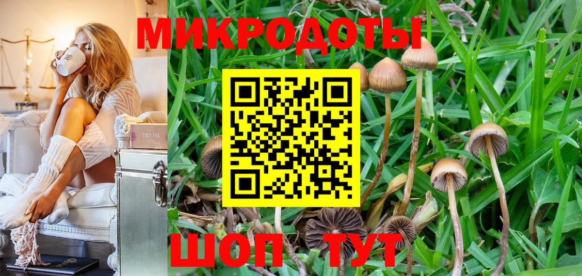 Старая Купавна  Галлюциногенные грибы прущие грибы  Галлюциногенные грибы Psilocybine cubensis  Вход с VPN 